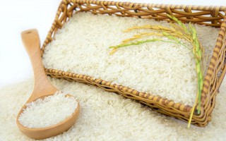 Giá lúa gạo hôm nay ngày 23/11: Nhu cầu mua ít, giao dịch trầm lắng
